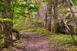Bilde av Kjærlighetsstien